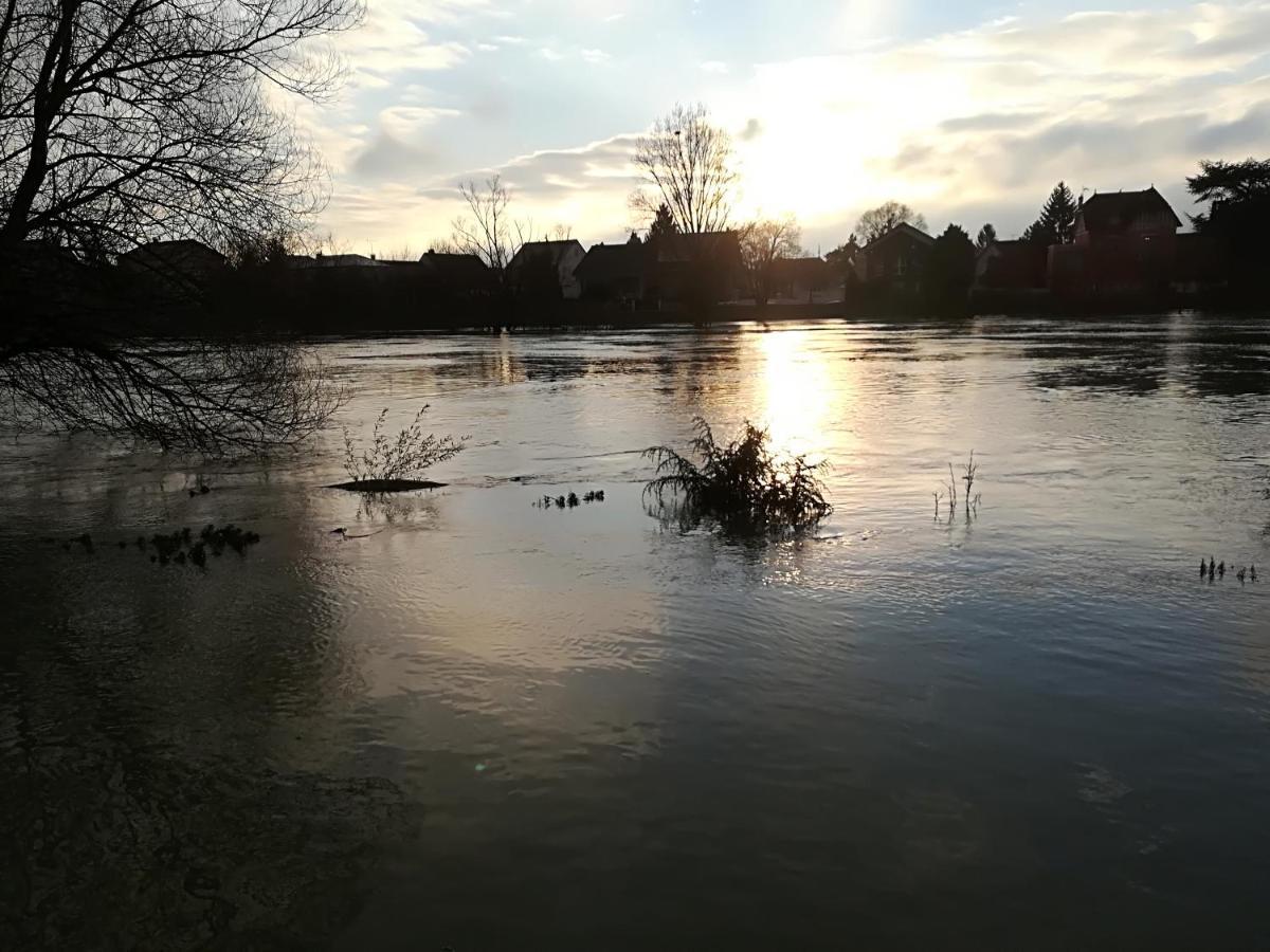 Les Pingouins De La Marne Bed and Breakfast Le Perreux-Sur-Marne Eksteriør billede