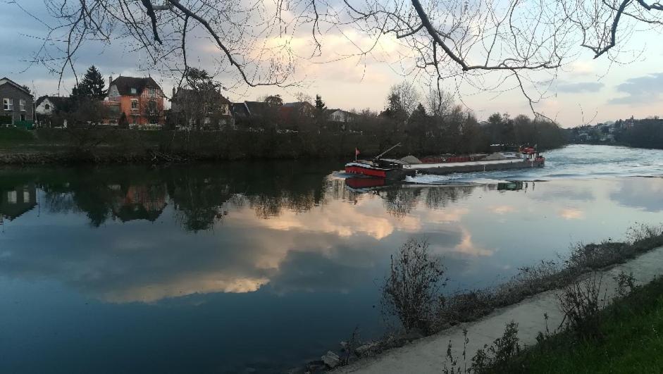 Les Pingouins De La Marne Bed and Breakfast Le Perreux-Sur-Marne Eksteriør billede
